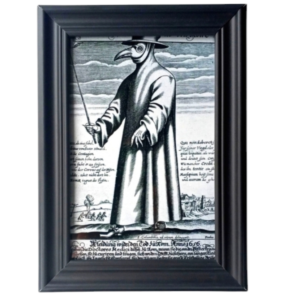 Plague Doctor 17th Century Vintage Gothic History Gothic Dark Goth Punk Real